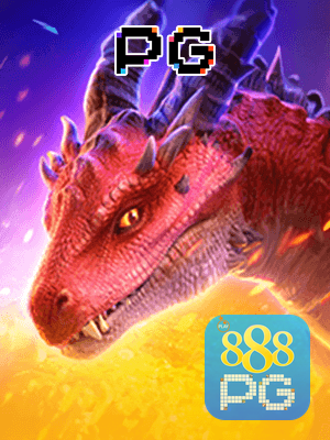 Recursos App 888PG